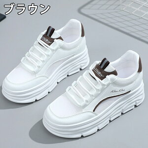 Xj[J[ fB[X Xj[J[ fB[Xpv  gAbv ^C u[c +5cmUP bV ʋC ~  h r EhgD  킢 JWA 