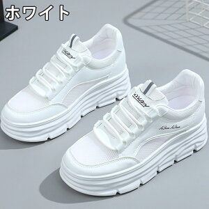 Xj[J[ fB[X Xj[J[ fB[Xpv  gAbv ^C u[c +5cmUP bV ʋC ~  h r EhgD  킢 JWA 