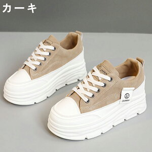 Xj[J[ fB[X Xj[J[ fB[Xpv gAbv ^C u[c +5cmUP ʋC ~  h y r EhgD  킢 JWA ʋ ʊw 