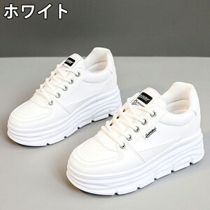 Xj[J[ fB[X Xj[J[ fB[Xpv  gAbv ^C u[c +5cmUP ܐی ʋC ~  h r EhgD  킢 JWA 