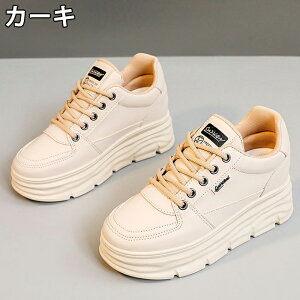 Xj[J[ fB[X Xj[J[ fB[Xpv  gAbv ^C u[c +5cmUP ܐی ʋC ~  h r EhgD  킢 JWA 