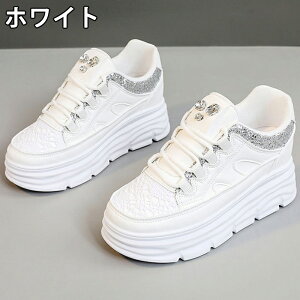 Xj[J[ fB[X Xj[J[ fB[Xpv  gAbv ^C u[c +5cmUP ʋC ~  h r EhgD  킢 JWA ʋ X