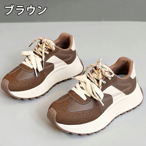 Xj[J[ fB[X Xj[J[ fB[Xpv gAbv ^C u[c +5.5cmUP tHXgEKvC ܐی ʋC ~  h r EhgD  