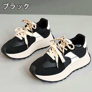 Xj[J[ fB[X Xj[J[ fB[Xpv gAbv ^C u[c +5.5cmUP tHXgEKvC ܐی ʋC ~  h r EhgD  