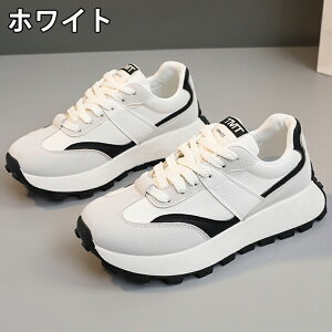 Xj[J[ fB[X Xj[J[ fB[Xpv  gAbv ^C u[c +5cmUP ʋC ~  h r EhgD  킢 JWA ʋ X