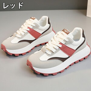 Xj[J[ fB[X Xj[J[ fB[Xpv  gAbv ^C u[c +5cmUP ʋC ~  h r EhgD  킢 JWA ʋ X