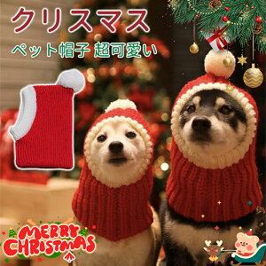 ybgXq jbgXq T^ RXv Lp ybg 蕨 T^N[X  Lp  H ~p h ₦΍ ||t Lbv nbg  ϐg nEC NX}X 