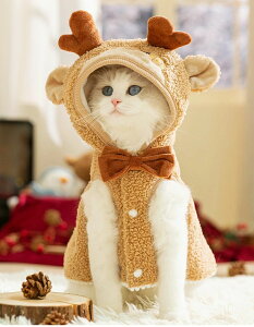 ybg NX}XRX`[ NX}Xc[ c[ giJC NX}X RX`[  킢 NX}XEFA 