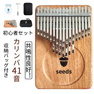 ケース カリンバ 41音 21音 親指ピアノ 初心者セット 楽器 教本 入門書 チューニング済み 指サック サム…
