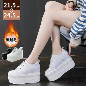 Xj[J[ fB[X  N Cq[Xj[J[ 12cm q[Xj[J[ Cq[ gAbv Xj[J[ PU C ₷ ₷ r 芴 IV JWA 