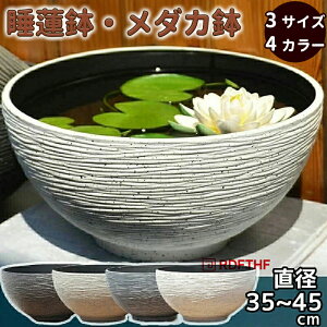 @ XC _J   rIg[v ^ 45 vX`bN  ۔ 甫  y ɂ  O  A 12 13 15