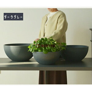 ���@�� �X�C������ ���_�J �� ������ �y�� �A�ؔ� ��^ 30 35 40cm �v���X�`�b�N ������� �۔� ���甫 ������ �y�� ����ɂ��� ��� ���O ���� �����A���� �Đ��\�f��