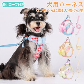 犬 小型犬 犬用 ハーネス 犬具 胴輪 リードセット 散歩 お出かけ 簡単装着 おしゃれ かわいい ブランド ハーネスリード ハーネスリードセット リード 犬 イヌ ドッグ dog 小型犬 ペット用ボーダー柄ソートフルハーネスリード