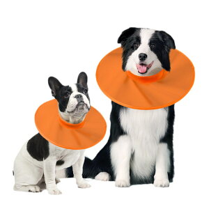 ��^�� �G���U�x�X�J���[ �� �G���U�x�X�J���[�� �G���U�x�X�J���[�\�t�g �� �G���U�x�X�J���[ �_�炩�� ���p �r�ߖh�~ �C�k ���^�� ���E�N���A �^����Ȃ� �\�t�g �X�|���W �I�b�N�X�t�H�[