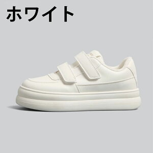 EH[LOV[Y Xj[J[ fB[X JWA  y ʊw Xb| jOV[Y jO AEghA W ʋ oR h g N