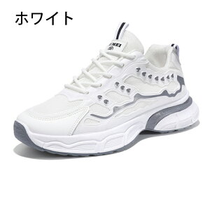 Xj[J[ Xb| Y ₷ ₷ Ȃ L y   炩 V[Y C oR