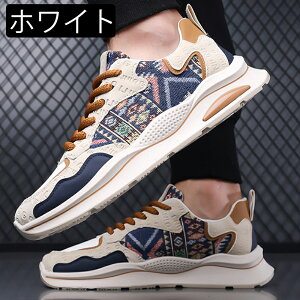 Xj[J[ [Jbg ₷ Ȃ y  ꂢ Xj[J[ Xj[J[ʋ ʊw ^CV[Y ʊw ʋ C@h@oR