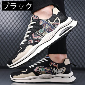 Xj[J[ [Jbg ₷ Ȃ y  ꂢ Xj[J[ Xj[J[ʋ ʊw ^CV[Y ʊw ʋ C@h@oR