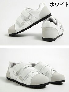 Xj[J[ [Jbg ₷ Ȃ y  ꂢ Xj[J[ Xj[J[ʋ ʊw ^CV[Y ʊw ʋ C@h@oR s CRȂ