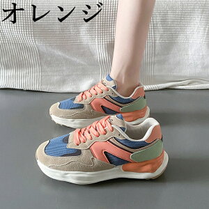 EH[LOV[Y Xj[J[ fB[X bV Ȃ JWA  ʊw Xb| jOV[Y WjA jO AEghA W ʋ h oR y