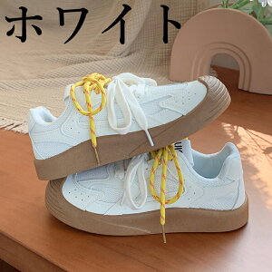 V[Nbgu[c EH[LOV[Y Xj[J[ fB[X Ȃ JWA   ʊw jOV[Y WjA jO AEghA W ʋ h oR y 3