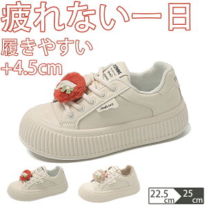 EH[LOV[Y Xj[J[ fB[X Ȃ JWA   ʊw jOV[Y WjA jO AEghA W ʋ h oR y 4.5cmAbv g 