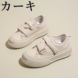 EH[LOV[Y Xj[J[ fB[X Ȃ JWA   ʊw jOV[Y WjA jO AEghA W ʋ h oR y 5cmAbv g 