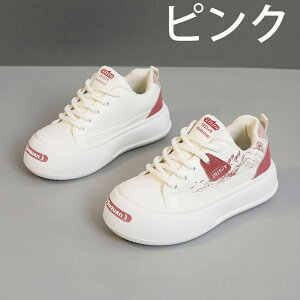 V[Nbgu[c EH[LOV[Y Xj[J[ fB[X Ȃ JWA   ʊw jOV[Y WjA jO AEghA W ʋ h oR y 5