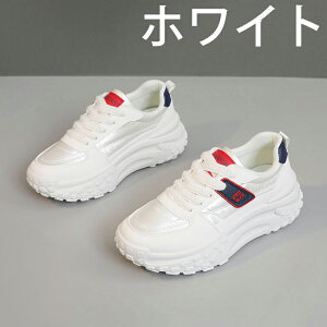 V[Nbgu[c EH[LOV[Y Xj[J[ fB[X Ȃ JWA   ʊw jOV[Y WjA jO AEghA W ʋ h oR y 5