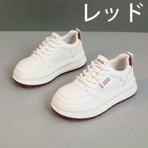 V[Nbgu[c EH[LOV[Y Xj[J[ fB[X Ȃ JWA   ʊw jOV[Y WjA jO AEghA W ʋ h oR y 5