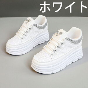 V[Nbgu[c EH[LOV[Y Xj[J[ fB[X Ȃ JWA   ʊw jOV[Y WjA jO AEghA W ʋ h oR y 7