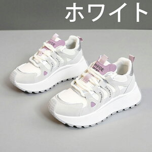 V[Nbgu[c EH[LOV[Y Xj[J[ fB[X Ȃ JWA   ʊw jOV[Y WjA jO AEghA W ʋ h oR y 5