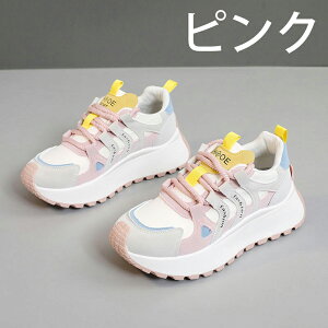 V[Nbgu[c EH[LOV[Y Xj[J[ fB[X Ȃ JWA   ʊw jOV[Y WjA jO AEghA W ʋ h oR y 5