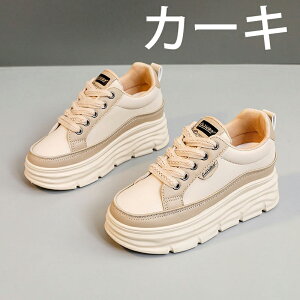 V[Nbgu[c EH[LOV[Y Xj[J[ fB[X Ȃ JWA   ʊw jOV[Y WjA jO AEghA W ʋ h oR y 7