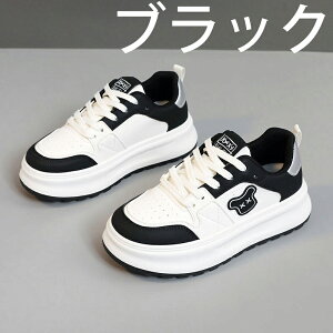 V[Nbgu[c EH[LOV[Y Xj[J[ fB[X Ȃ JWA   ʊw jOV[Y WjA jO AEghA W ʋ h oR y 4