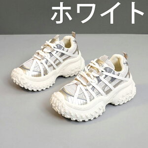 V[Nbgu[c EH[LOV[Y Xj[J[ fB[X Ȃ JWA   ʊw jOV[Y WjA jO AEghA W ʋ h oR y 6