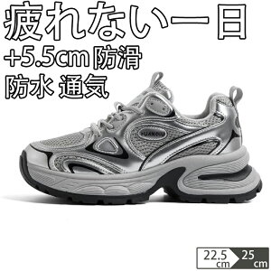 V[Nbgu[c EH[LOV[Y Xj[J[ fB[X Ȃ JWA   ʊw jOV[Y WjA jO AEghA W ʋ h oR y 5