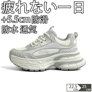 V[Nbgu[c EH[LOV[Y Xj[J[ fB[X Ȃ JWA   ʊw jOV[Y WjA jO AEghA W ʋ h oR y 5