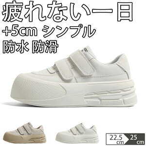 V[Nbgu[c EH[LOV[Y Xj[J[ fB[X Ȃ JWA   ʊw jOV[Y WjA jO AEghA W ʋ h oR y 5