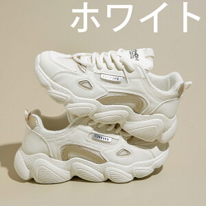 V[Nbgu[c EH[LOV[Y Xj[J[ fB[X Ȃ JWA   ʊw jOV[Y WjA jO AEghA W ʋ h oR y 5