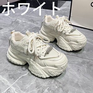 V[Nbgu[c EH[LOV[Y Xj[J[ fB[X Ȃ JWA   ʊw jOV[Y WjA jO AEghA W ʋ h oR y 7