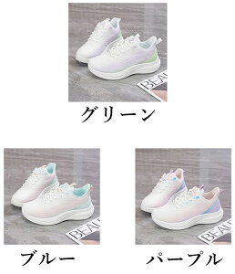 Xj[J[ fB[X  bV  EH[LOV[Y C L ₷ w V[Y X|[cV[Y JWA EH[LO WjA ʋ ʊw e͐ ʋC ^