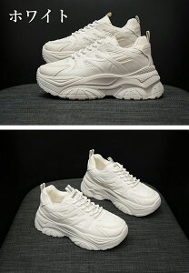 Xj[J[ fB[X  bV  EH[LOV[Y C L ₷ w V[Y X|[cV[Y JWA EH[LO WjA ʋ ʊw e͐ ʋC ^