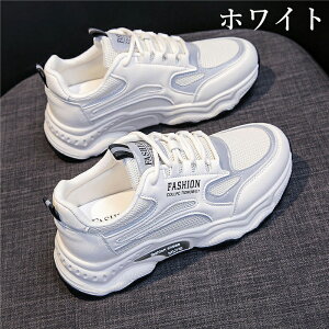 Xj[J[ fB[X  bV  EH[LOV[Y C L ₷ w V[Y X|[cV[Y JWA EH[LO WjA ʋ ʊw e͐ ʋC ^