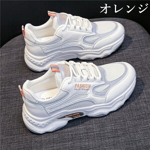 Xj[J[ fB[X  bV  EH[LOV[Y C L ₷ w V[Y X|[cV[Y JWA EH[LO WjA ʋ ʊw e͐ ʋC ^