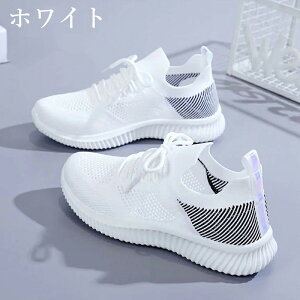 Xj[J[ fB[X  bV  EH[LOV[Y C L ₷ w V[Y X|[cV[Y JWA EH[LO WjA ʋ ʊw e͐ ʋC ^