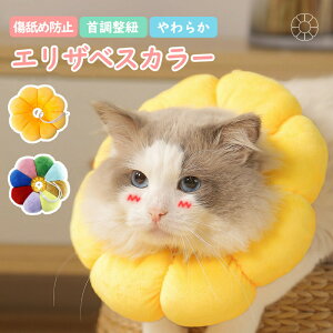 y[zGUxXJ[ L  ybg \tg^Cv p r rߖh~   Ђ  aC  PK  킢 \tg ߉\ y NbV _炩 mXgX 