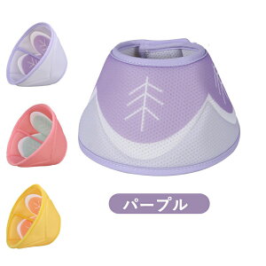 GUxXJ[ ybgp\tgGUxXJ[ x^  Ck L lR p \tg^Cv ȒP y ܂_炩f pi p  p̏ی p Lp p㒅/EF