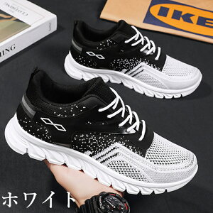 Xj[J[ Xb| Y ₷ ₷ Ȃ RȂ L y   炩 V[Y C