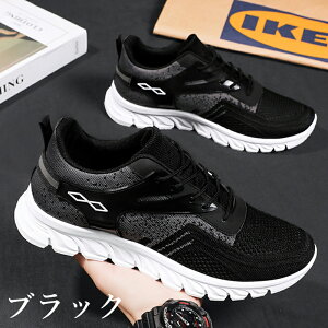 Xj[J[ Xb| Y ₷ ₷ Ȃ RȂ L y   炩 V[Y C